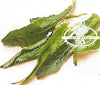 Culantro/Ngo Gai/Sawtooth Leaves