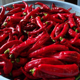 Umami Insider - Kanzuri Chili Paste - 3 Year Aged, 2.46 oz