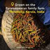 Diaspora Spice Co. - Aranya Black Pepper (Whole) - Single-Origin Spice: 50g Everyday Tin