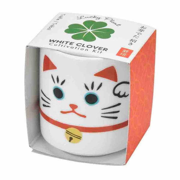 Noted - Lucky Plant - Beckoning Cat
