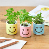 Noted - Happy Plant - Assorted 3 Styles