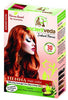 DESIGNS BY DEEKAY INC - Burgundy Henna Hair Color with Brush and Gloves 6 pcs