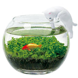 Noted - Water Garden with Cat - White
