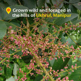 Diaspora Spice Co. - Wild Heimang Sumac (Powder) - Single-Origin Spice
