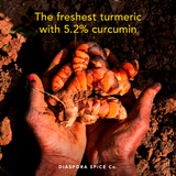 Diaspora Spice Co. - Pragati Turmeric (Powder) - Single-Origin Spice: 48g Everyday Tin