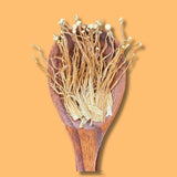 Ramen Bae - Enoki Mushroom - 3 oz bag