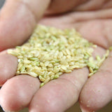 Umami Insider - Rice Koji Amazake (Non-Alcohol Fermented Rice Drink), 8.81 o
