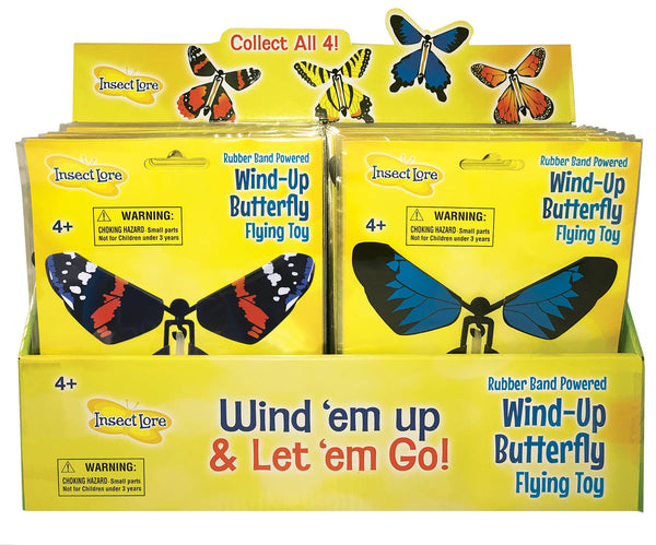 INSECT LORE - Wind-Up Butterfly - 48 Piece Display