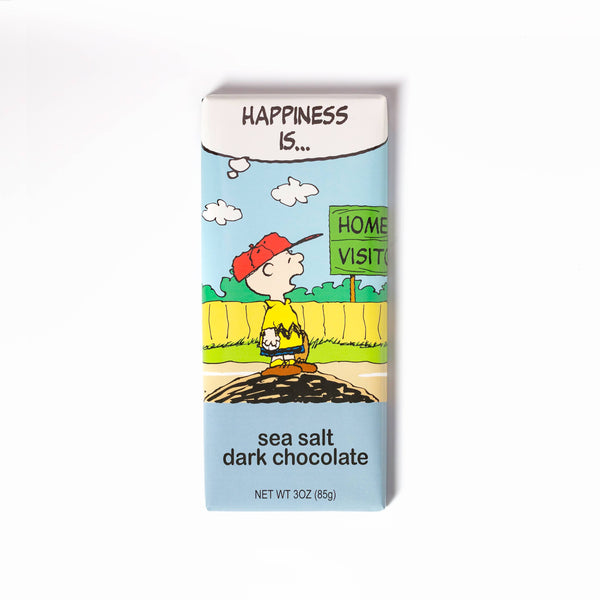 Astor Chocolate Corp. - Peanuts Everyday 3Oz Charlie Brown Sea Salt Dark Chocolate