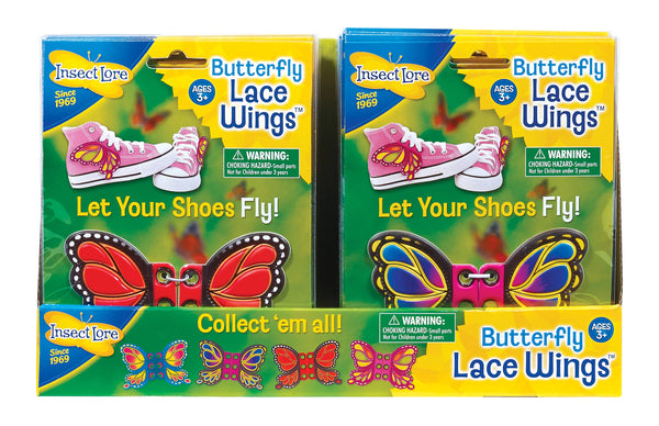 INSECT LORE - Butterfly Lace Wings - 48 Piece Display