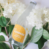 Bea's Squeeze - Bea's Squeeze Classic Lemonade
